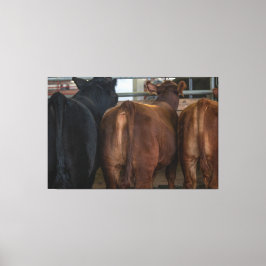 Lienzo Vacas desde atrás