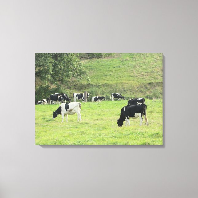 Lienzo Vacas en el campo Pasture Photo Wall Canvas Art (Anverso)