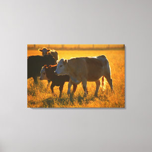 Lienzo Vacas en el pasto 2