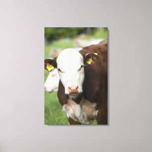 Lienzo Vacas en el pasto, primer