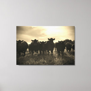 Lienzo Vacas en la pastura - tono sepia