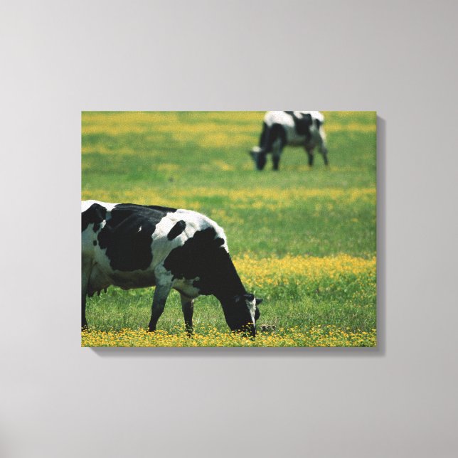 Lienzo Vacas en un campo de flores (Anverso)