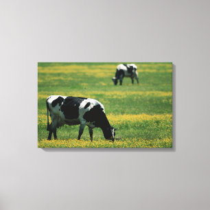 Lienzo Vacas en un campo de flores
