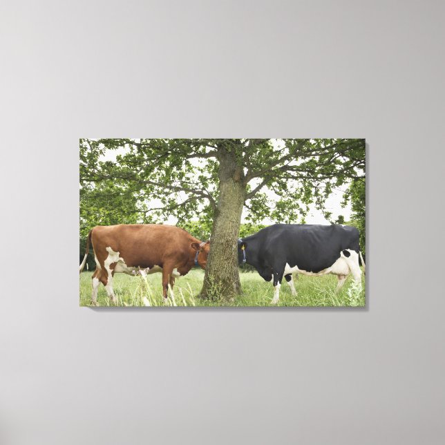 Lienzo Vacas paradas cara a cara tras árbol (Anverso)