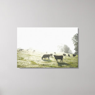 Lienzo Vacas pastoreando en el campo a la luz de la mañan