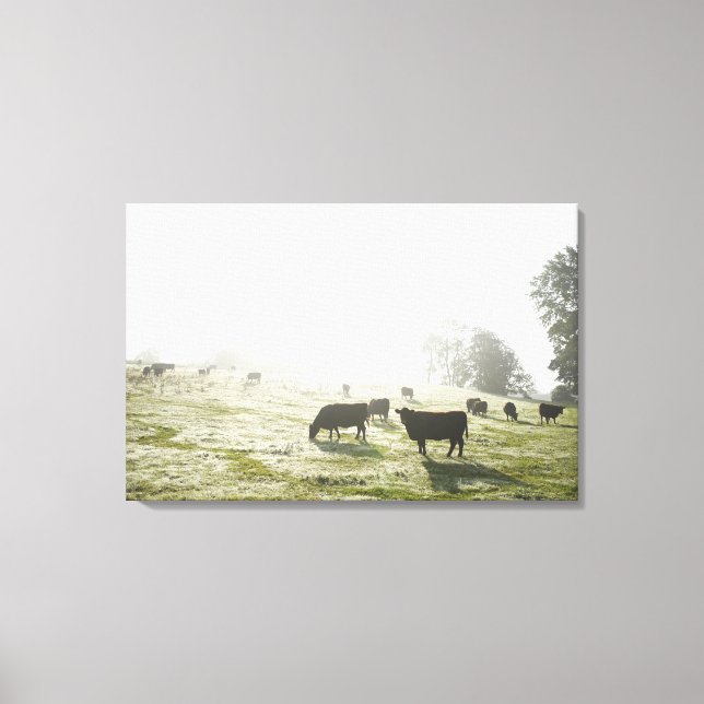 Lienzo Vacas pastoreando en el campo a la luz de la mañan (Anverso)
