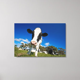 Lienzo Vacas que alimentan en el pasto 2