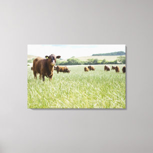 Lienzo Vacas que se colocan en prado