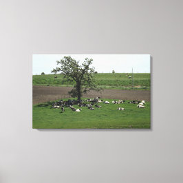 Lienzo Vacas sentadas bajo un árbol paisaje de granja del