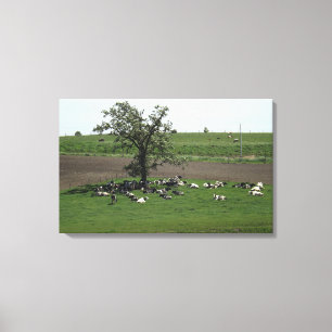 Lienzo Vacas sentadas bajo un árbol paisaje de granja del
