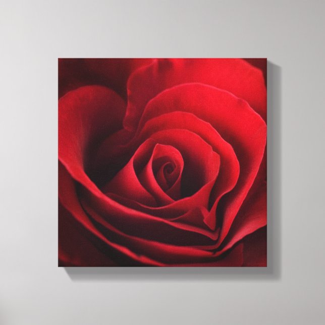 Lienzo Valentine Red Rose (Anverso)