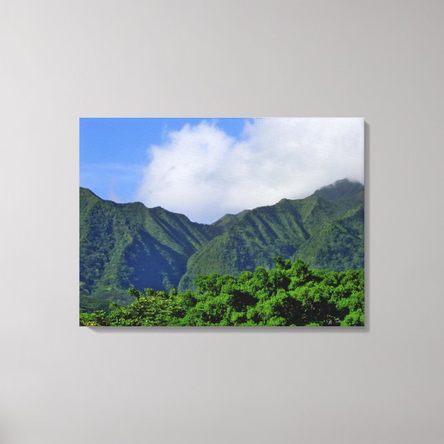 Lienzo Valle de Manoa (Anverso)