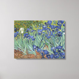 Lienzo Van Gogh Irises Fine Art Painting