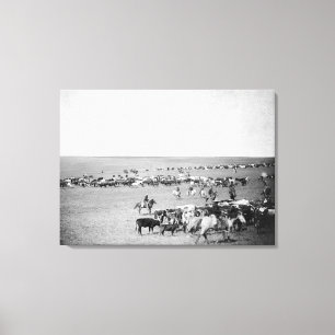 Lienzo Vaqueros con ganado en la fotografía de la gama