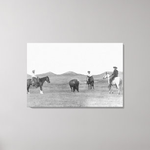 Lienzo Vaqueros en caballos dándole una foto de búfalo