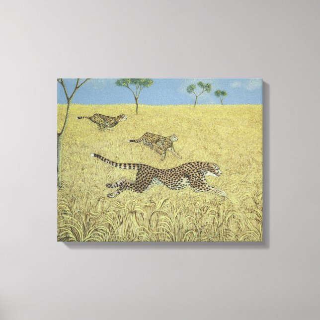 Lienzo Velocidad de Sheer (Anverso)