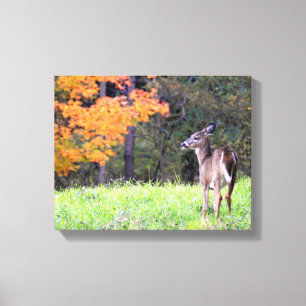Lienzo Venado joven en otoño