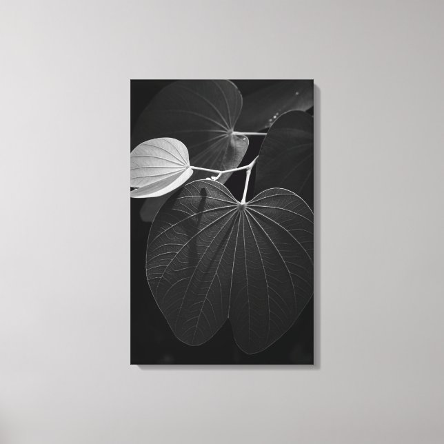 Lienzo Venas de una hoja (Anverso)