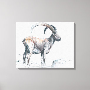 Lienzo Venerando Stambecco 2006