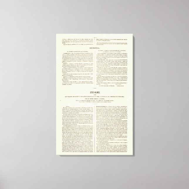 Lienzo Venezuela 2 (Anverso)