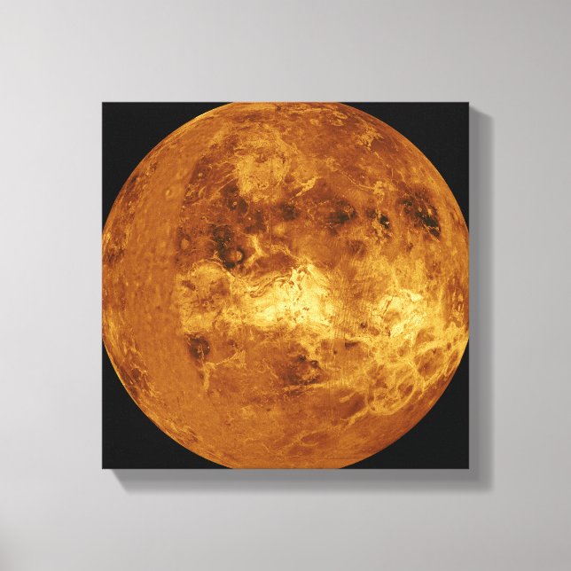 Lienzo Venus (Anverso)