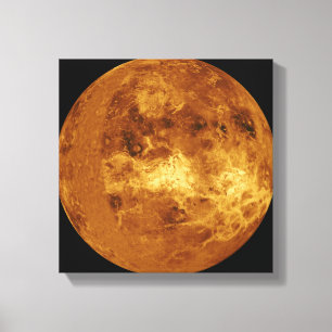 Lienzo Venus