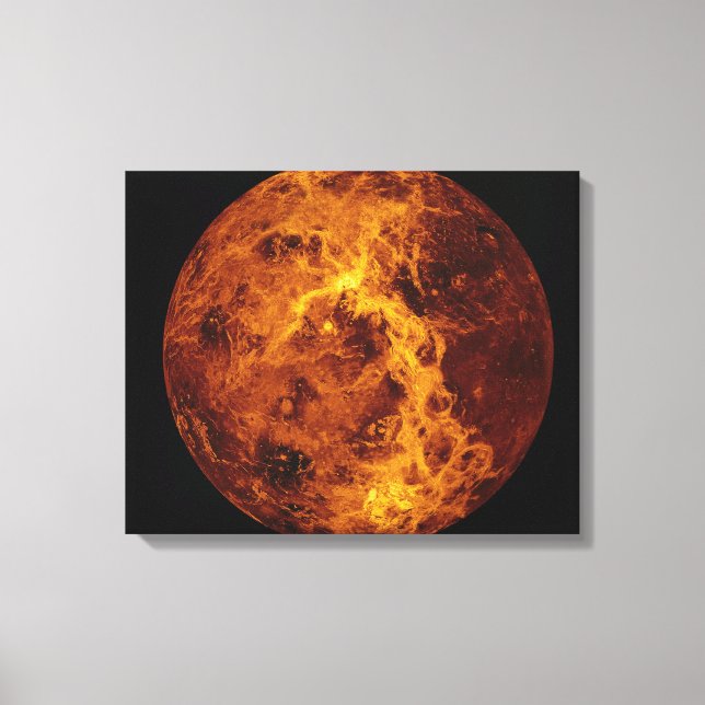 Lienzo Venus (Anverso)