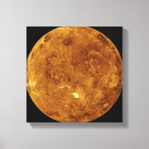 Lienzo Venus 2