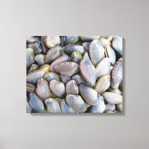 Lienzo Venus Clam [ห อ ย ล า ย]