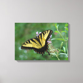 Lienzo ¡Verano Moscas!