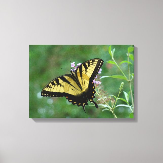 Lienzo ¡Verano Moscas!