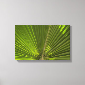 Lienzo Verde Faro de Palm Tropical