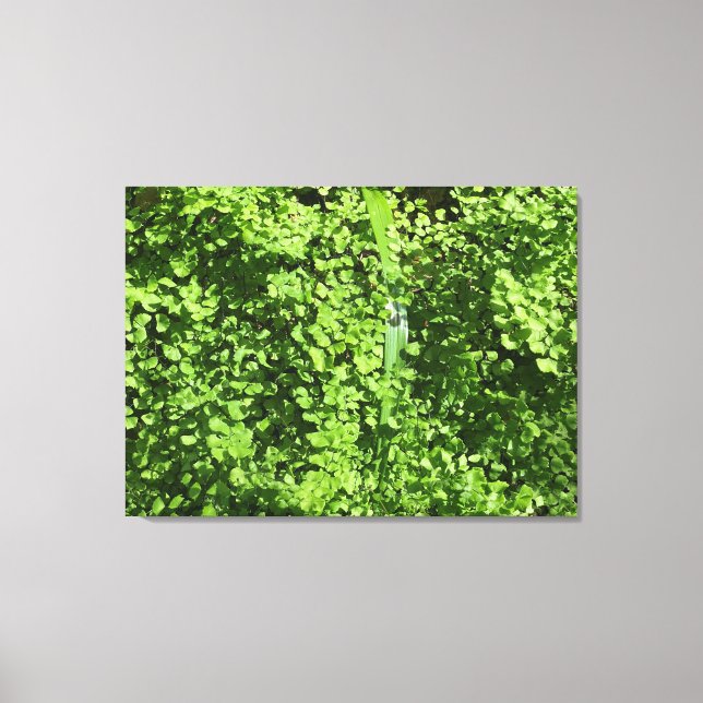 Lienzo Verdes de febrero (Anverso)