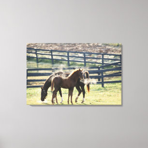 Lienzo Vermont, EE.UU.