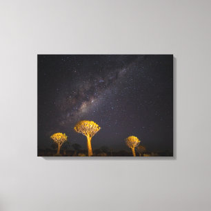 Lienzo Vía Láctea Quiver Tree   Keetmanshoop Namibia
