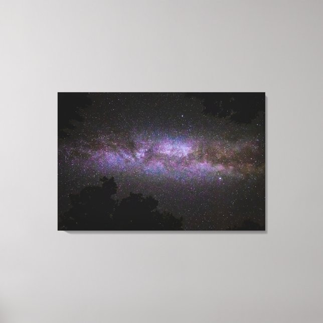 Lienzo Vía lechosa con silueta de árboles (Anverso)