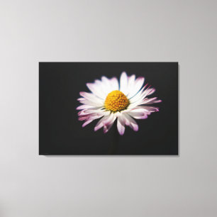 Lienzo Viacntrina común de 36x24 (90x60cm)