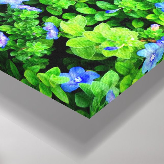 Lienzo Vibrant blue flowers  (Esquina (abajo))