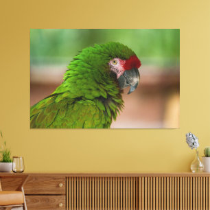 Lienzo Vibrante loro macaw en vista de perfil