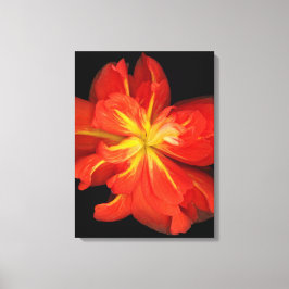 Lienzo Vibrante Naranja Begonia Macro