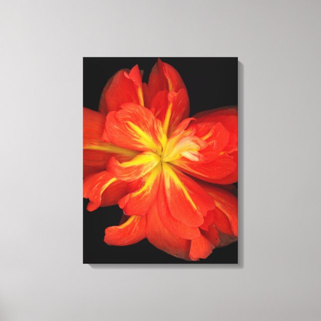 Lienzo Vibrante Naranja Begonia Macro (Anverso)