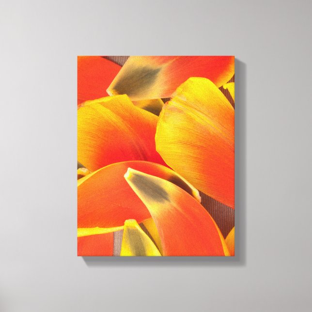 Lienzo Vibrante Naranja Tulip Flower Petall Foto (Anverso)