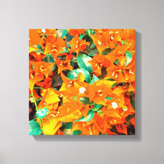 Lienzo Vibrantes Flores de Buganvilla Naranja (Anverso)