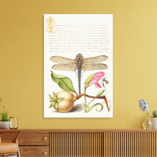 Lienzo Vida de jardín, libélula, pera, clavel e insecto