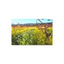 Vides de uva y flores de mostaza