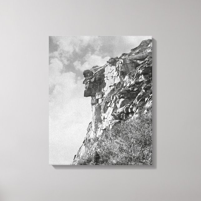 Lienzo Viejo hombre de la montaña, 1901. Foto de cosecha  (Anverso)