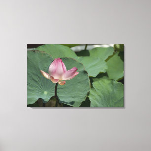 Lienzo Vietnam, cerca de Saigón) My Tho. Vinh Trang