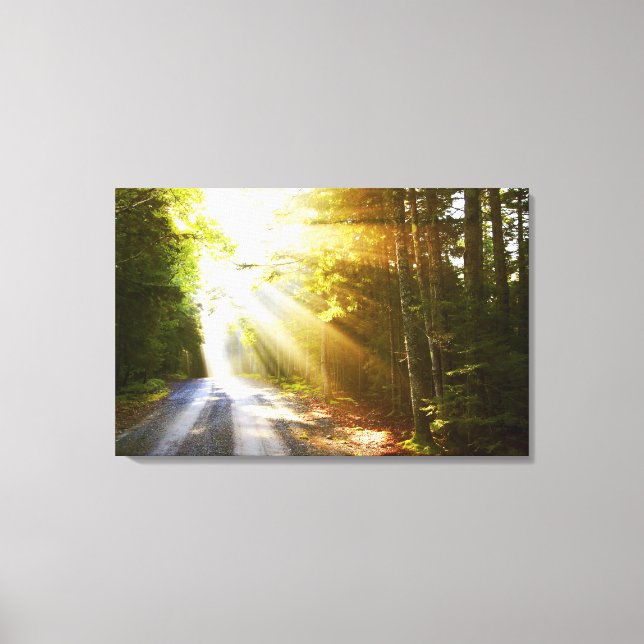 Lienzo Vigas de sol a través del bosque en el Parque Naci (Anverso)