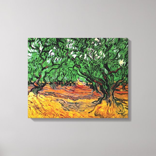 Lienzo Vincent Van Gogh - Bella Artes de los olivos (Anverso)