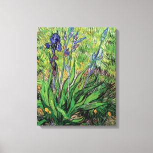 Lienzo Vincent Van Gogh - El Iris Amante de la Naturaleza